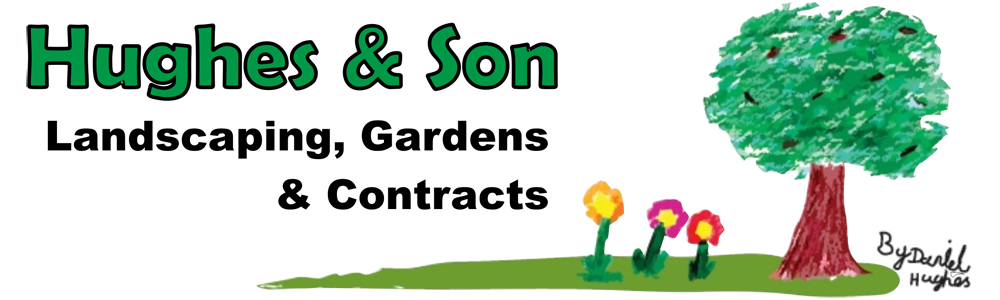 Logo for Hughes & Son